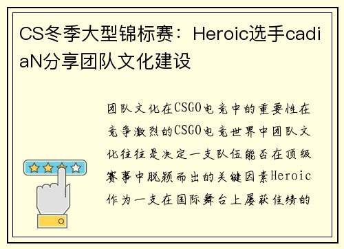 CS冬季大型锦标赛：Heroic选手cadiaN分享团队文化建设
