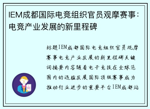IEM成都国际电竞组织官员观摩赛事：电竞产业发展的新里程碑